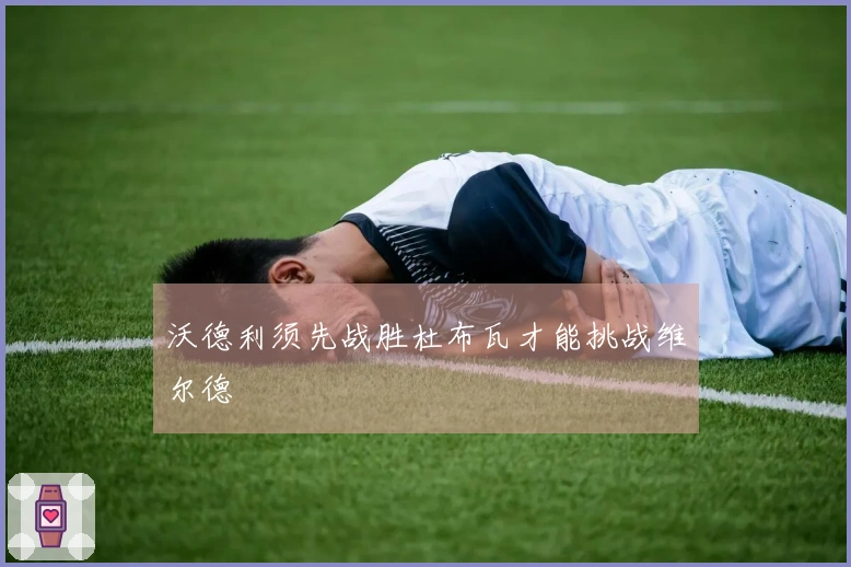 沃德利须先战胜杜布瓦才能挑战维尔德
