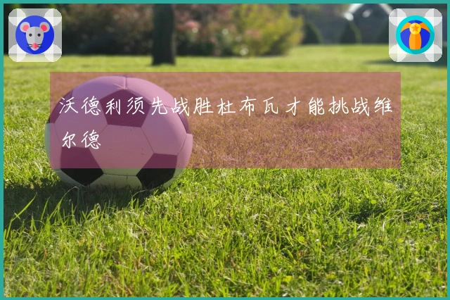 沃德利须先战胜杜布瓦才能挑战维尔德