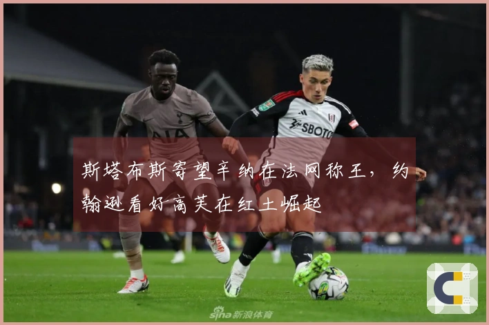 斯塔布斯寄望辛纳在法网称王，约翰逊看好高芙在红土崛起
