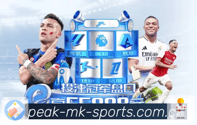 <strong>MK体育</strong>App 复盘二维码