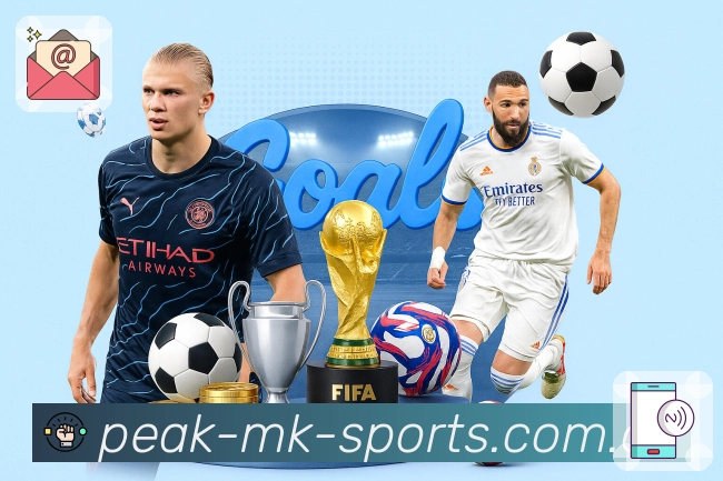 <strong>MK体育</strong>App 复盘页示例